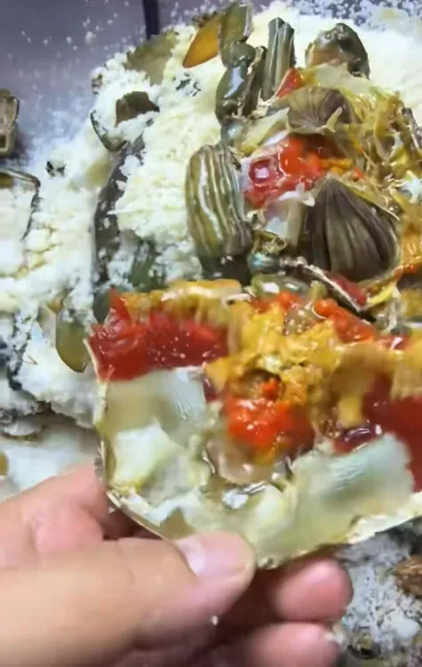 干盐膏蟹 海陆丰生腌海膏蟹 吊鱼露干盐膏蟹  （必须速冻保存）