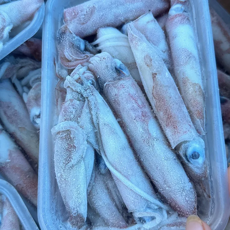 船冻四号管（小阿姨推荐）