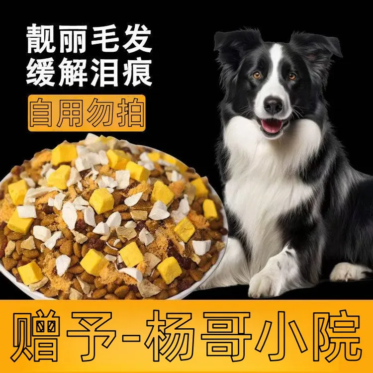 赠狗宝爱吃的营养粮