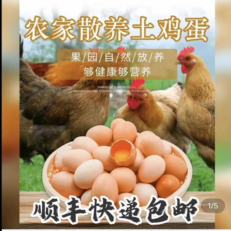 江西高山散养富硒土鸡蛋