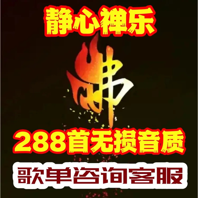 好听的车载静心 禅乐 印良 路勇六字五音无损音质mp3cd盘卡通用us