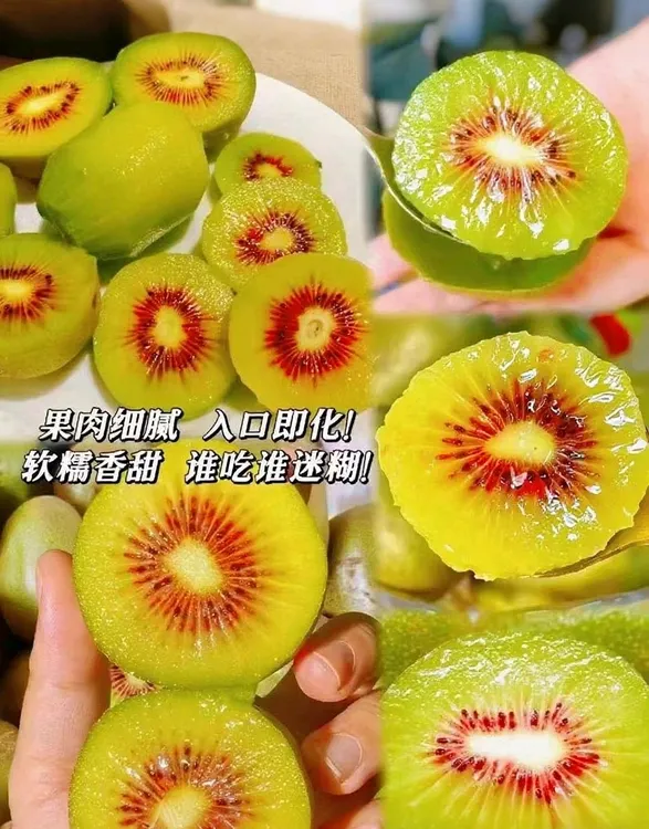湖南湘西凤凰高山红心猕猴桃自家种植新鲜采摘