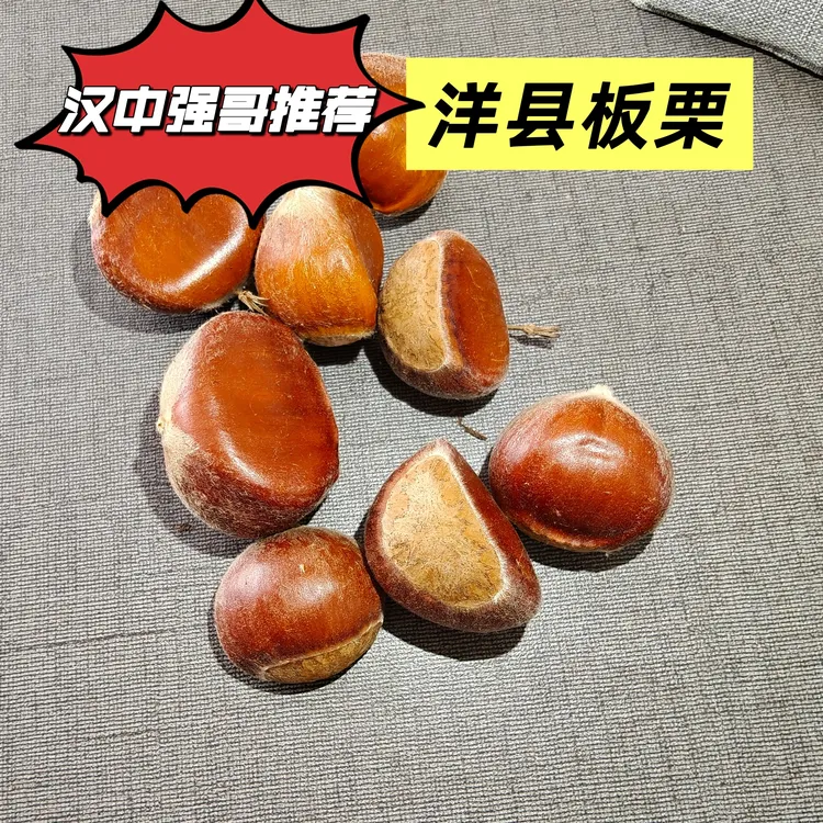 2025年新货5斤汉中强哥助农板栗新鲜
