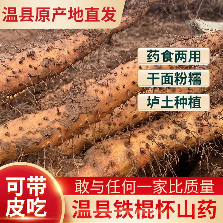 5斤大果】正宗河南焦作铁棍山药新鲜采挖现挖现发糯新鲜蔬菜山药