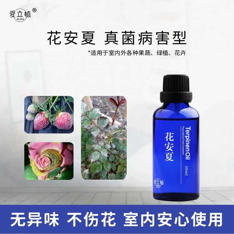 爱立植花安夏月季草莓真菌专用精油助剂无异味不伤花室内安心使用