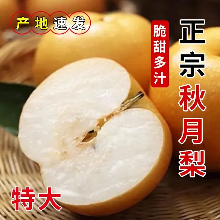 【彩礼装/坏果包赔】甄汇优 d正宗山东秋月梨清甜爆汁脆嫩爽口化渣