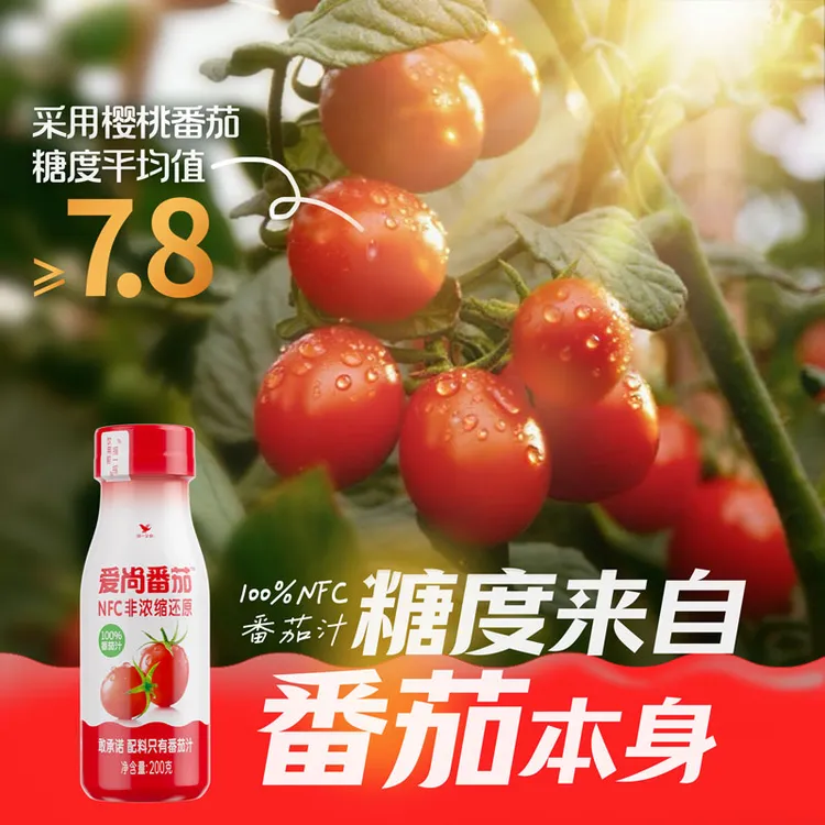 统一爱尚番茄汁100%非浓缩还原果汁番茄小红瓶西红柿汁礼盒茄红素