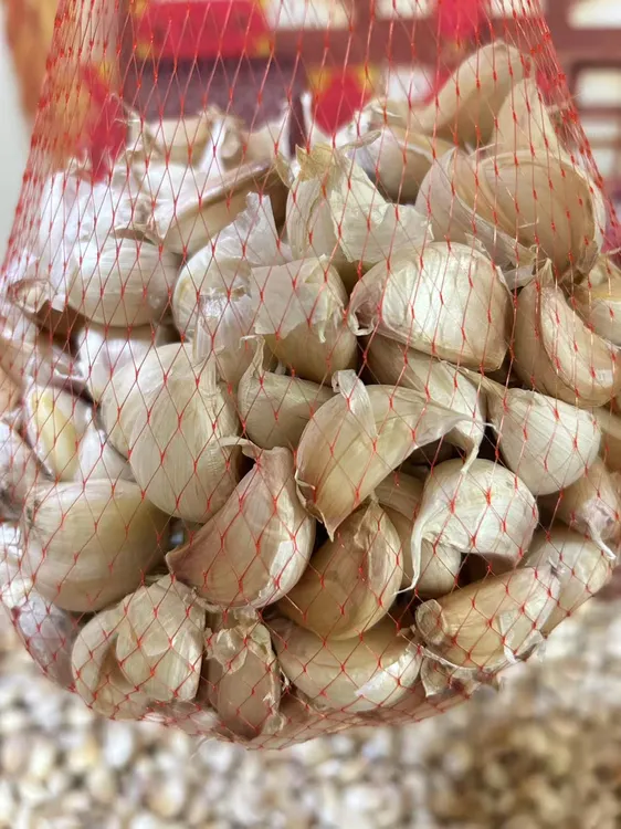 开封杞县老品种白皮大蒜2025年新干蒜手工精品去皮大蒜瓣可吃可种