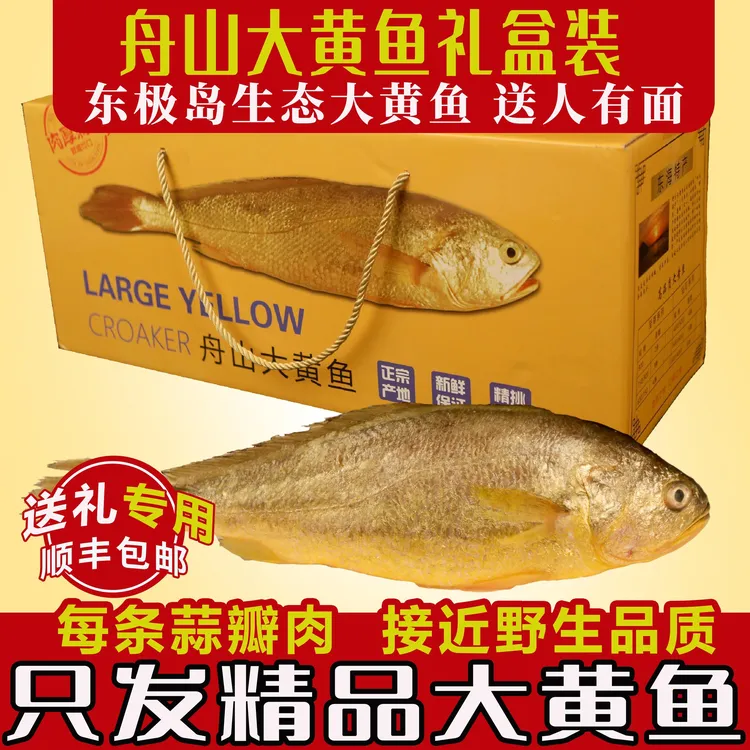 舟山生态大黄鱼礼盒春节年货送礼东海特产新鲜海鲜水产深海黄花鱼