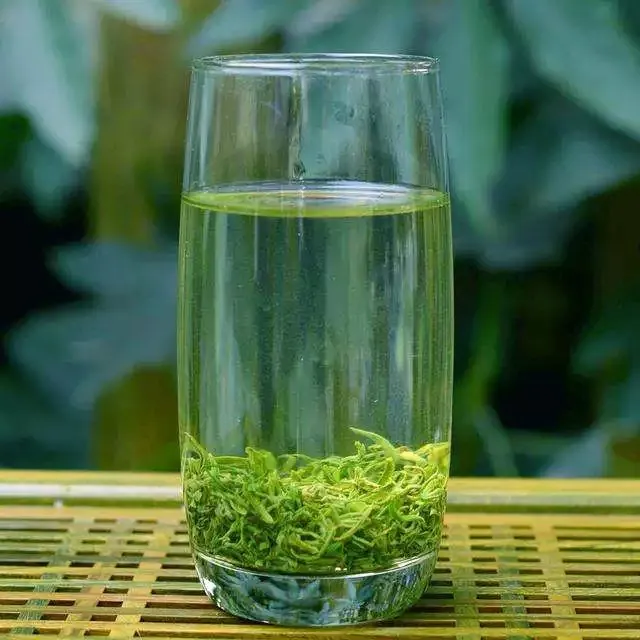 2025年狗牯脑雨前绿茶珍品特级江西遂川狗牯脑绿茶浓香耐泡