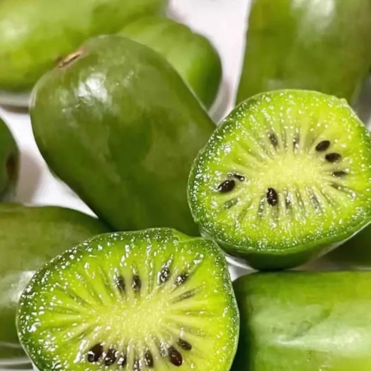 东北特产奇异莓软枣猕猴桃香甜多汁1000g