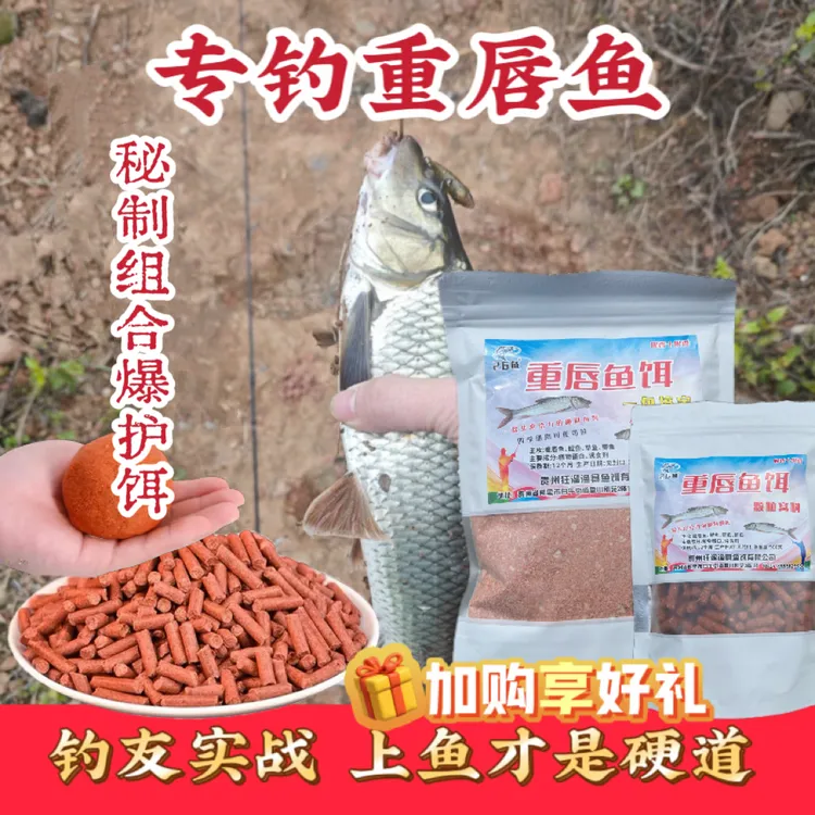 秘制组合重唇鱼饵及颗粒同味型垂钓上鱼率更高