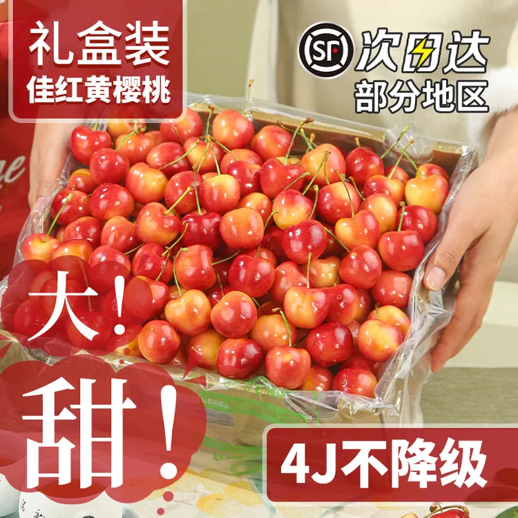 大连佳红黄樱桃新鲜水果整箱包邮黄金车厘子特大甜美国红J-4J顺丰商品图