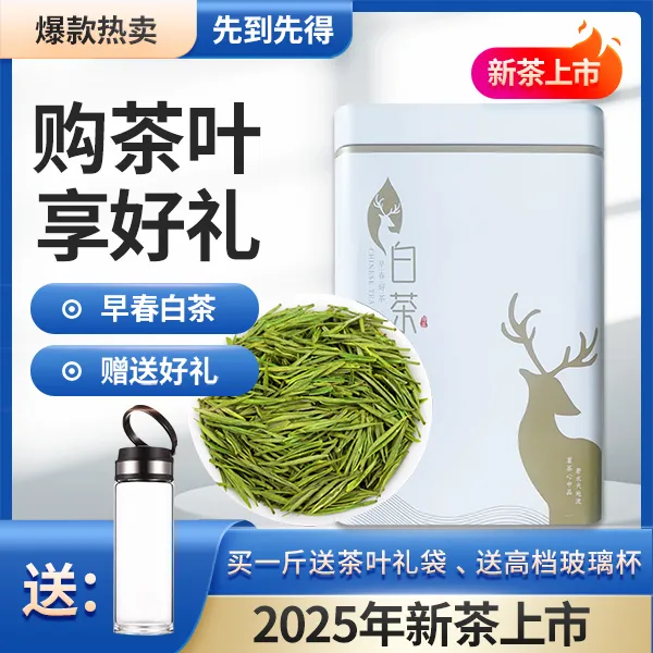 2025年新茶早春白茶高山采摘高白化源于安吉新茶H89199 250g/500g