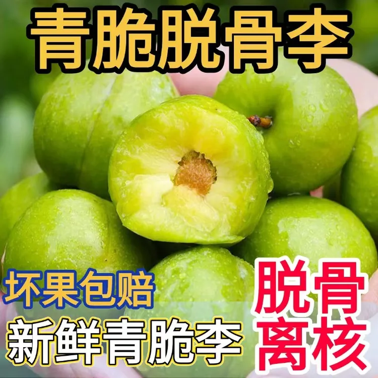 青脆脱骨李湖北荆州松滋现摘现发应季水果脆甜李子新鲜采摘