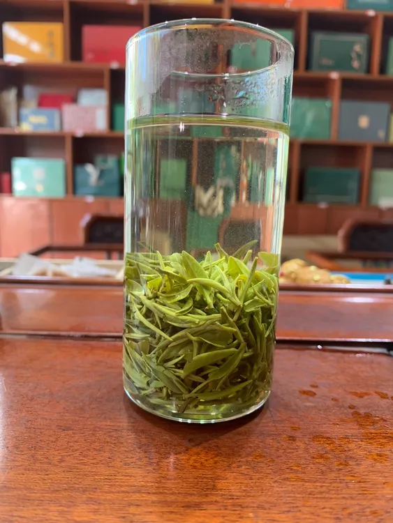 【2025新茶】信阳毛尖浉河港群体种花香一芽一叶滋味茶叶醇厚