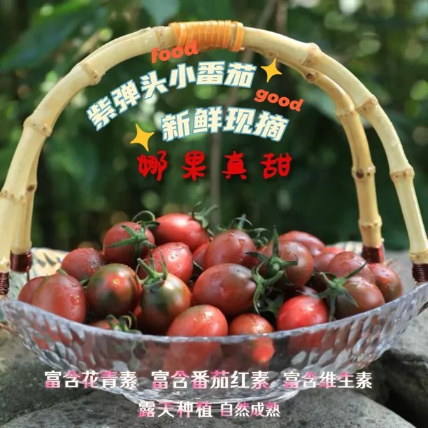 【京东新鲜现摘】福建自然熟紫弹头小番茄圣女果西红柿孕妇水果蔬菜