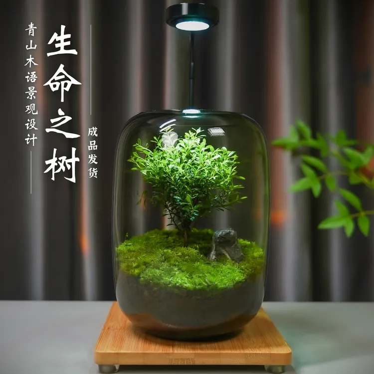 青山木语【生命之树】创意苔藓微景观生态绿植造景办公桌面礼品摆件
