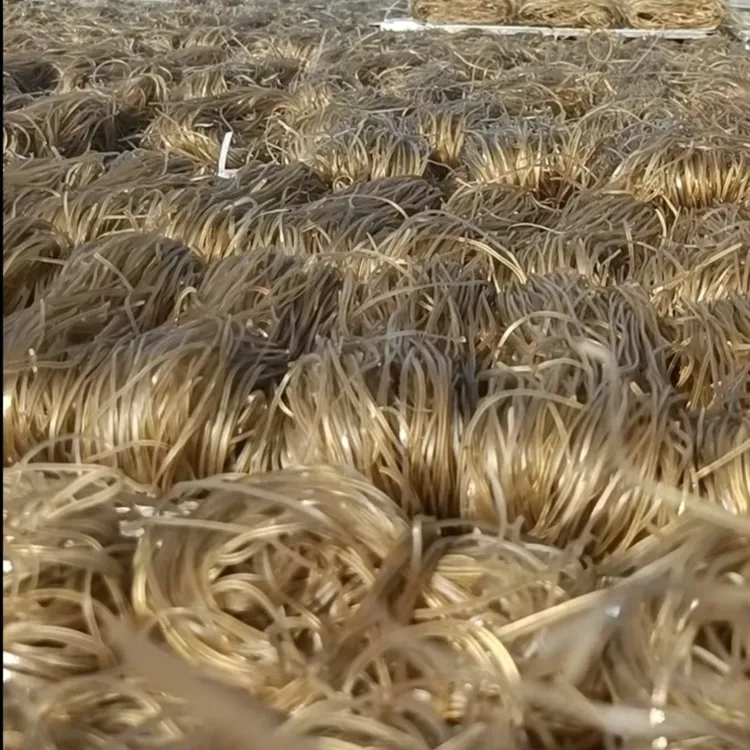 【粉签】可炖可炒可焖