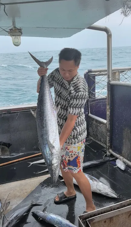 （10-12斤规格）康氏马鲛鱼自家渔船深海捕捞整鱼免费帮切片发货