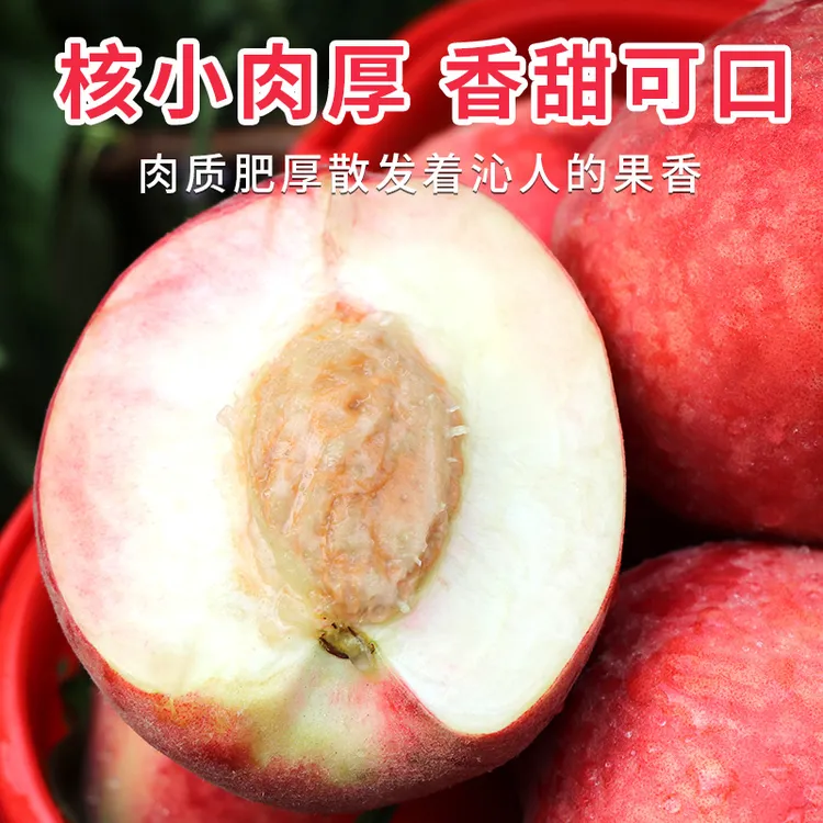脆桃整箱净重3斤包邮到家新鲜桃子水蜜桃应季水果