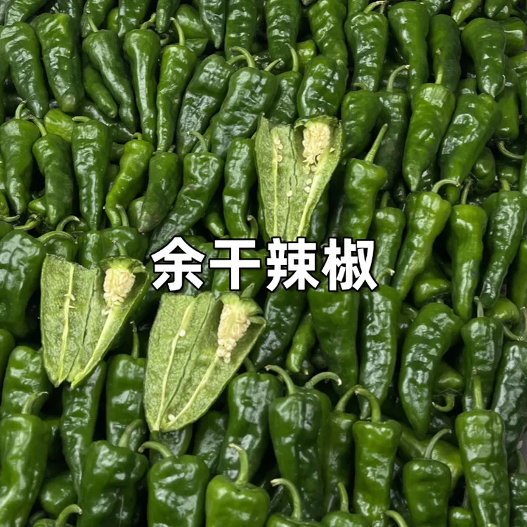 徐闻小野正宗江西余干辣椒新鲜薄皮鲜脆现摘现发特辣农家自种