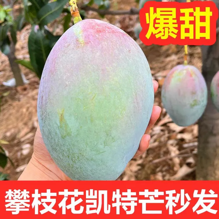 四川攀枝花凯特芒果新鲜当季水果酸甜多汁核小肉多