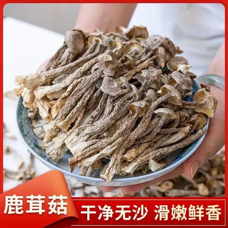 新货鹿茸菇干货整根鹿茸菌菇火锅食材鹿耳菇煲汤批发