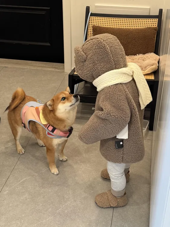 甜小七女童2025冬季新款韩版可爱小熊耳朵上衣纯色打底裤毛绒套装