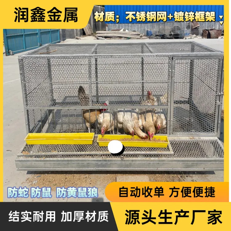 鸡笼蛋鸡笼自动滚蛋防啄蛋加密网孔户外防黄鼠狼家用养殖鸡笼鸡棚