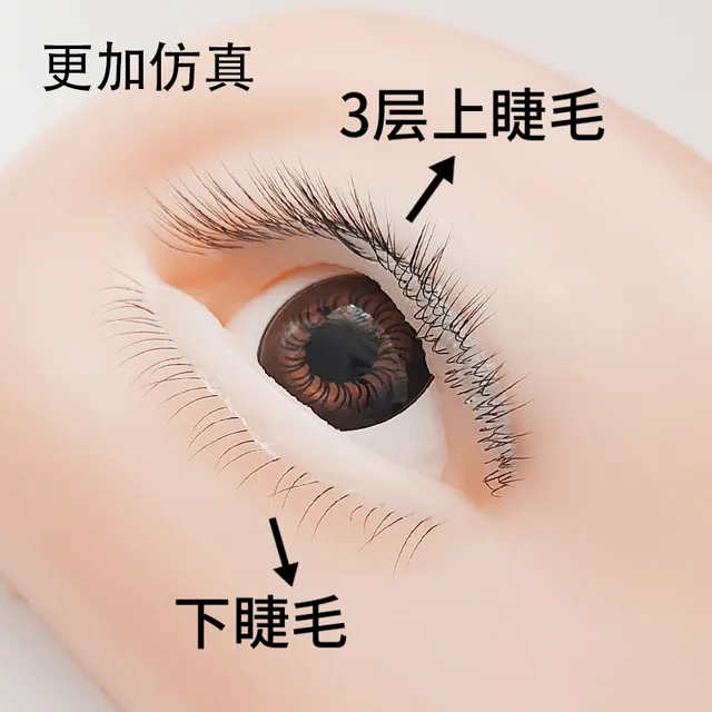 LAKIUU美睫培训新手练习眼模三层睫毛5D彷真模特