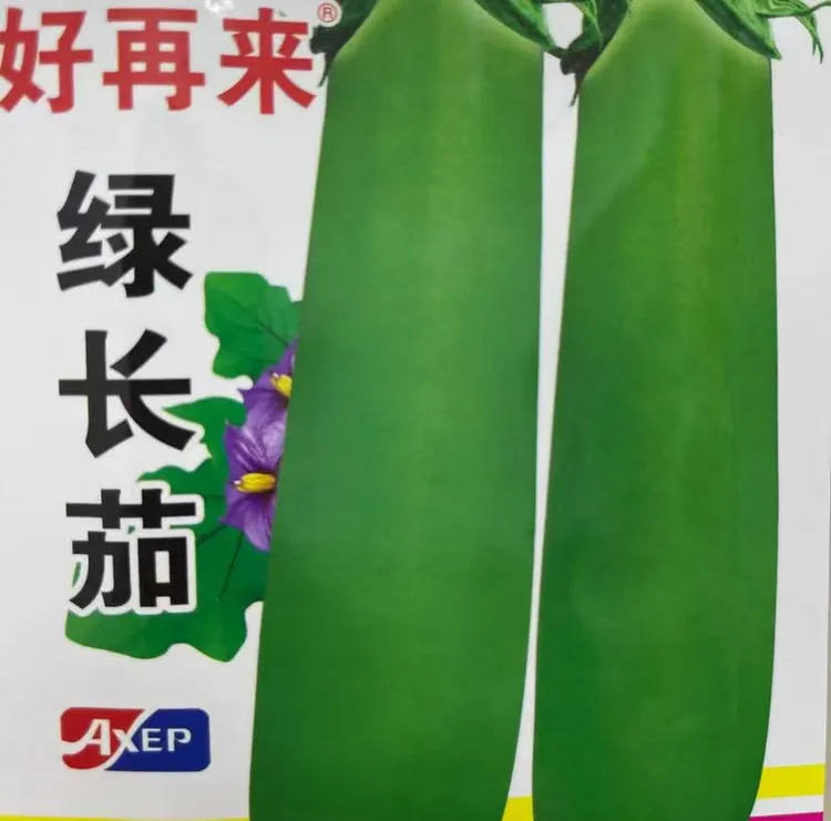 【绿长茄种子】四季种植盆栽地栽阳台小院种植