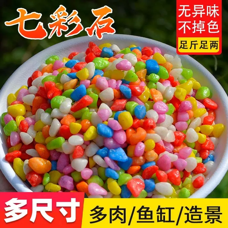 【5斤装】五彩色石头彩石七彩色小石子沙子花盆栽装饰多肉鱼缸石子