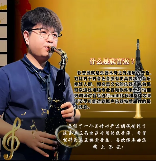 老婶电萨软音源盒yds150/120/128C专用