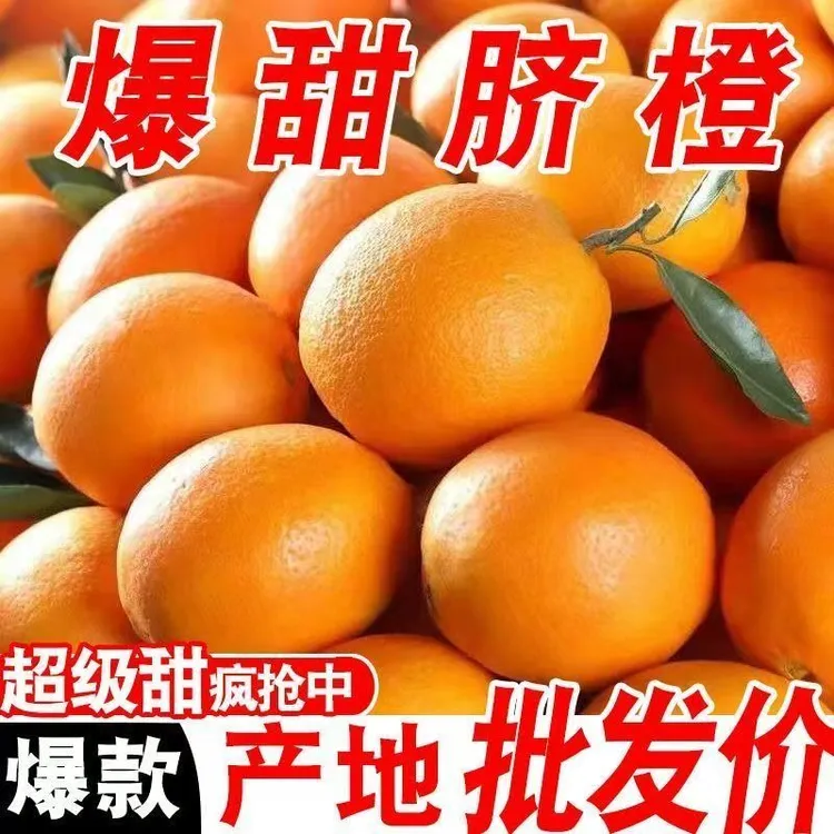 赣南脐橙当季新鲜水果清甜多汁绿色清甜应季水果纽霍尔脐橙