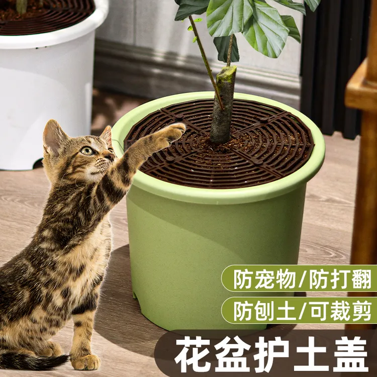 花盆挡土板网罩护土盖植物保护罩固土防猫爪花土保护格镂空网套子