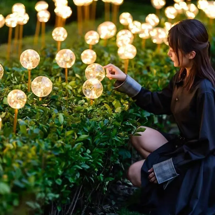 太阳能户外防水星星草坪灯花园阳台地插庭院灯公园亮化景观蒲公英