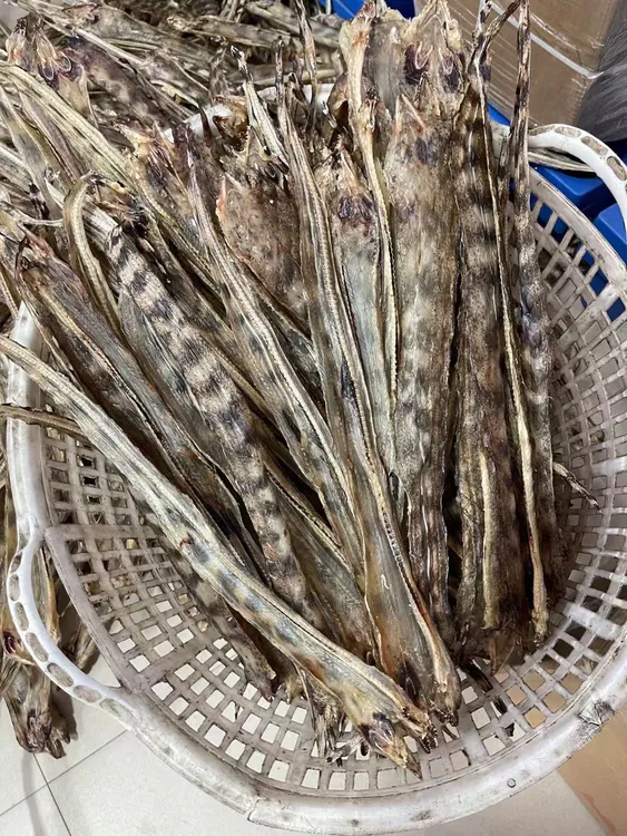广东汕尾本港渔民自晒金钱鳗鱼干潮汕干货特产