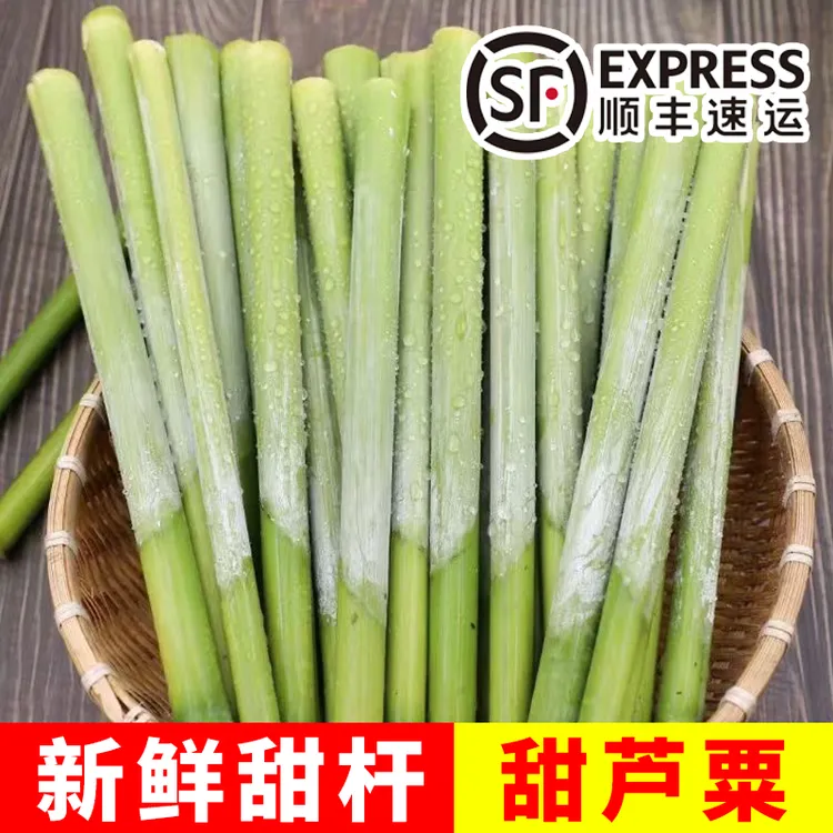 新鲜甜杆甜芦粟甜杆正宗北方甜高粱微甜小时候味道2斤5斤