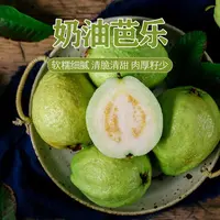 【坏果包赔】福建树熟奶油芭乐净重2.5斤（4-7粒）