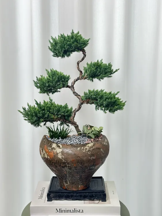 迎客松五层塔松盆栽室内桌面造型绿植乔迁开业礼物