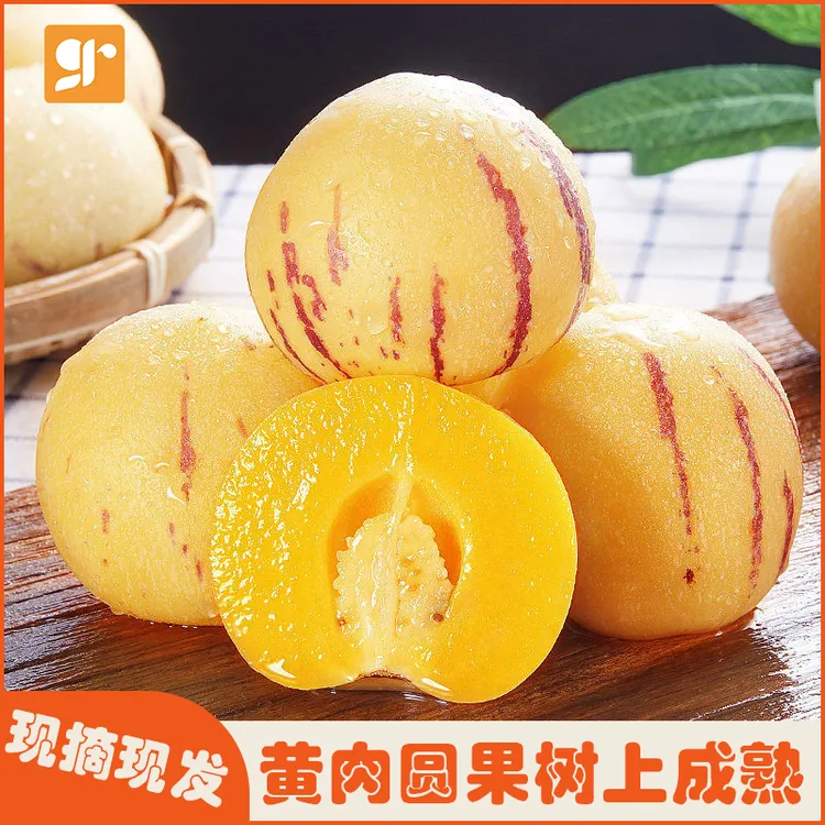 云南人参果新鲜水果树上熟黄肉圆果当季整箱包邮