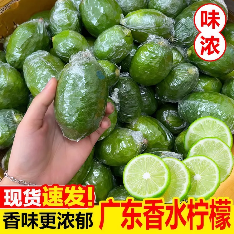 广东新鲜现摘无籽香水青柠檬清香皮薄奶茶店专用水果