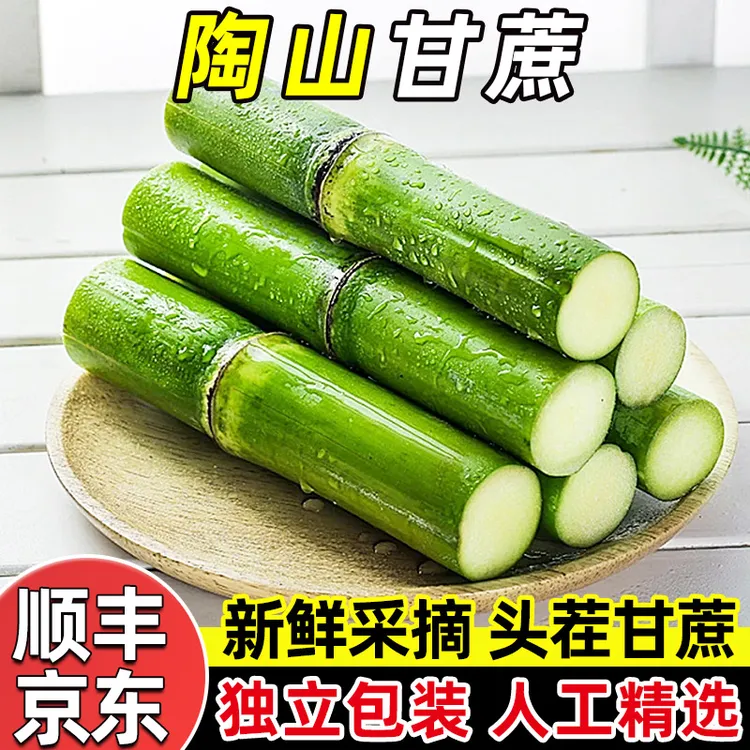 【新品】浙江陶山青皮绿皮甘蔗脆甜多汁孕妇当季新鲜水果甜杆果蔗