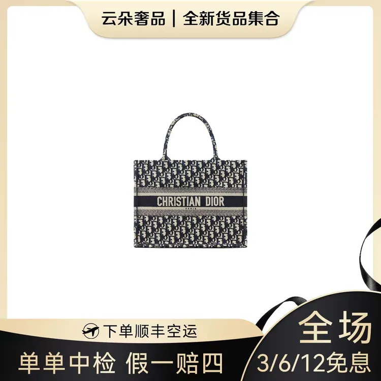 未使用 DIOR/迪奥 云朵奢品/迪奥 托特中号/