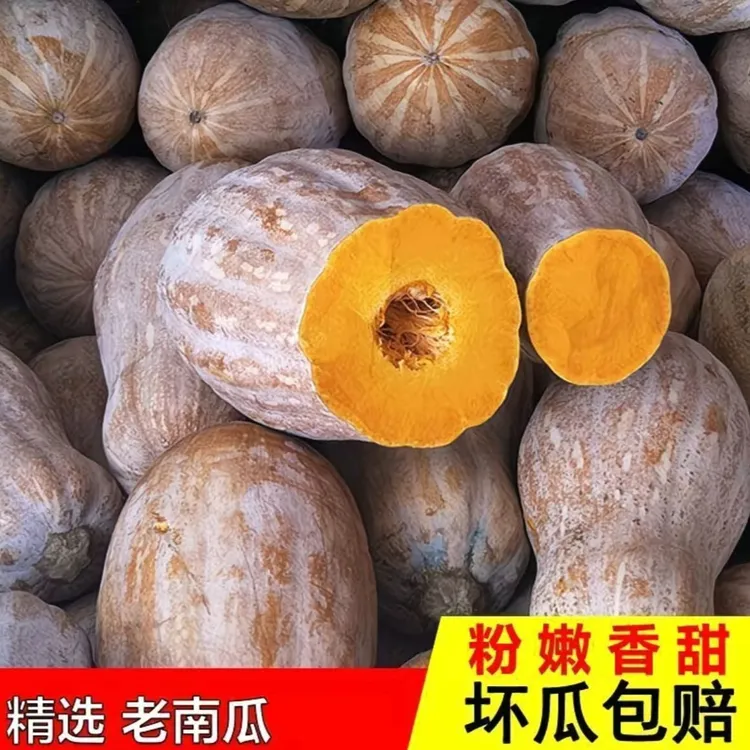 【净重7斤】密本老南瓜正宗老品种云南密本南瓜甜糯辅食新鲜香甜老