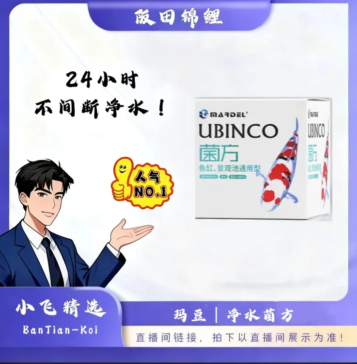 玛豆-菌方硝化细菌鱼缸景观庭院锦鲤鱼池净水抑藻净化水质