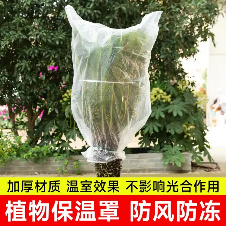 植物防寒罩透明果树过冬防冻防雨树木保护罩防尘袋花卉盆栽保温膜