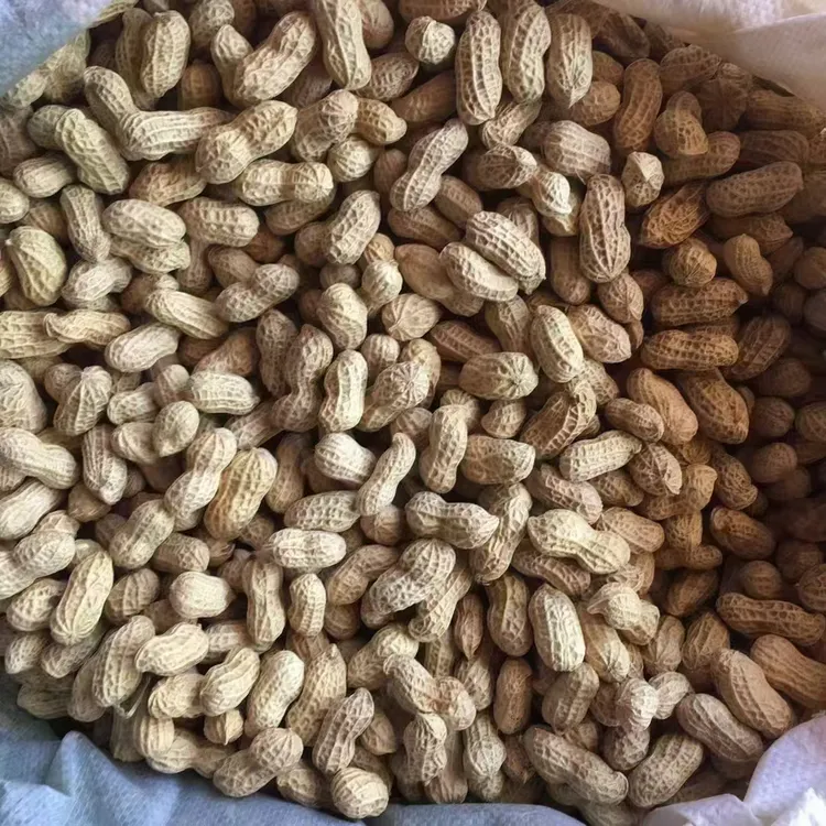 梅州市平远县东石咸干水煮花生一斤也包邮