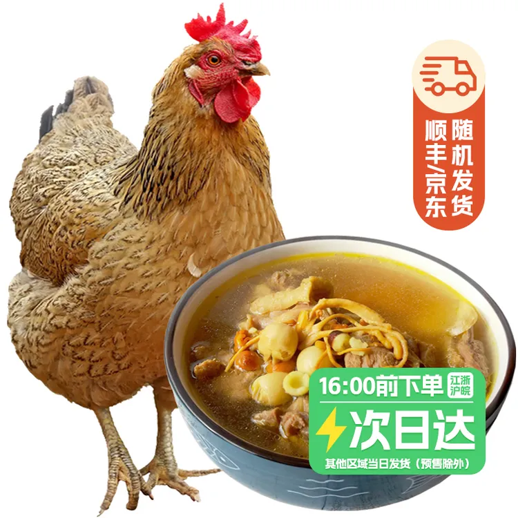 【萌佳萌】湖北黄冈大别山老母鸡1kg*3只黄油老母鸡冷冻老母鸡煲汤